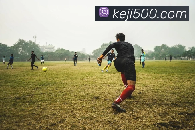 奖项证书